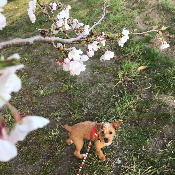 9b35286f 3c0d 4008 ad3c dd7f31c6720b 1522917006985