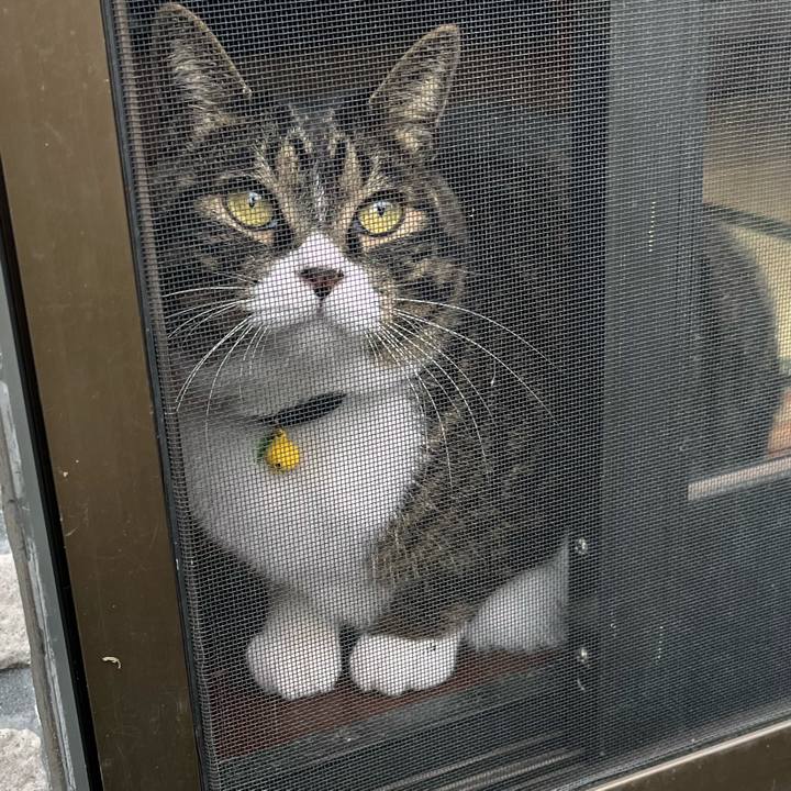 9b35292c faf4 400e aebd cdcb949e2680 1759275319315