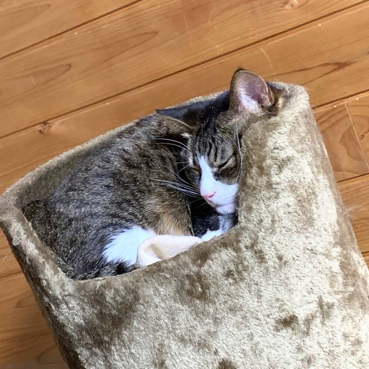 9b353678 f4e7 44fe a05b a99690090d86 1582880459873