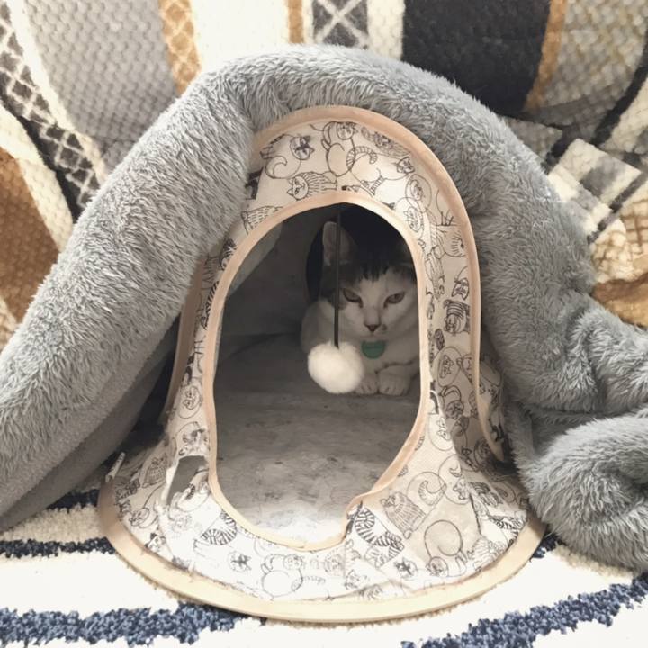 9b353f65 2722 408e 8bfb 005a0cf24c5a 1547865867382