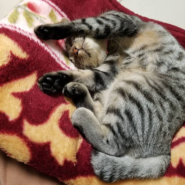 9b355151 7505 4369 81a2 53d083cdc051 1684591838518