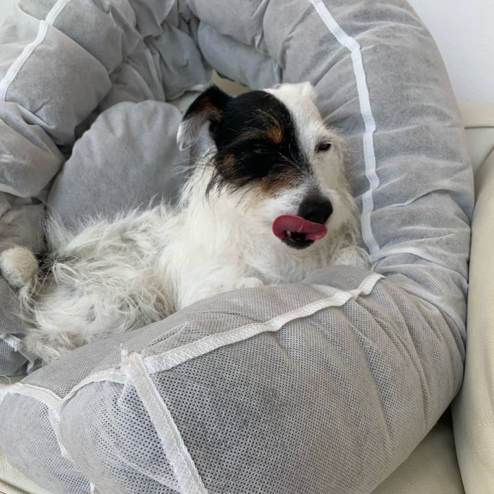 9b3555d6 0955 4262 b1eb 6947ba19e867 1588642670051