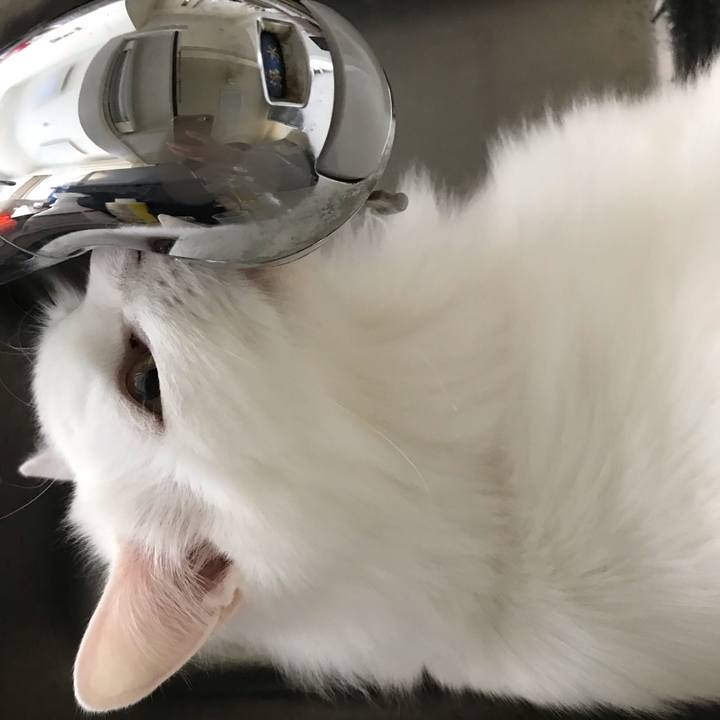 9b356d3d 18c7 4b5d a6fd dcb852a1c62a 1550490207268