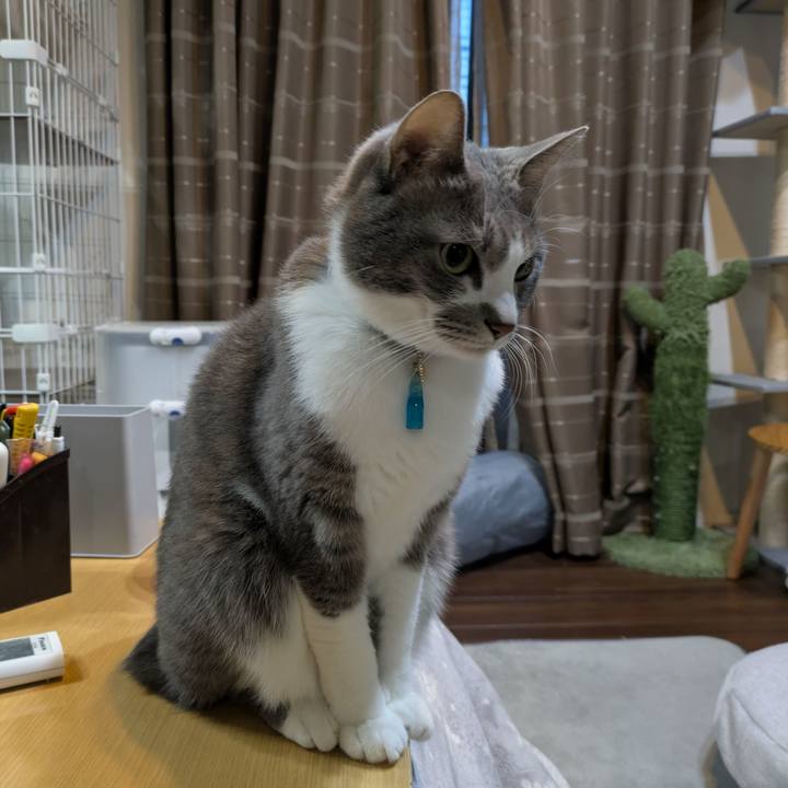 9b359cbd e6ec 4386 a9cb d605100dbe73 1735595638997