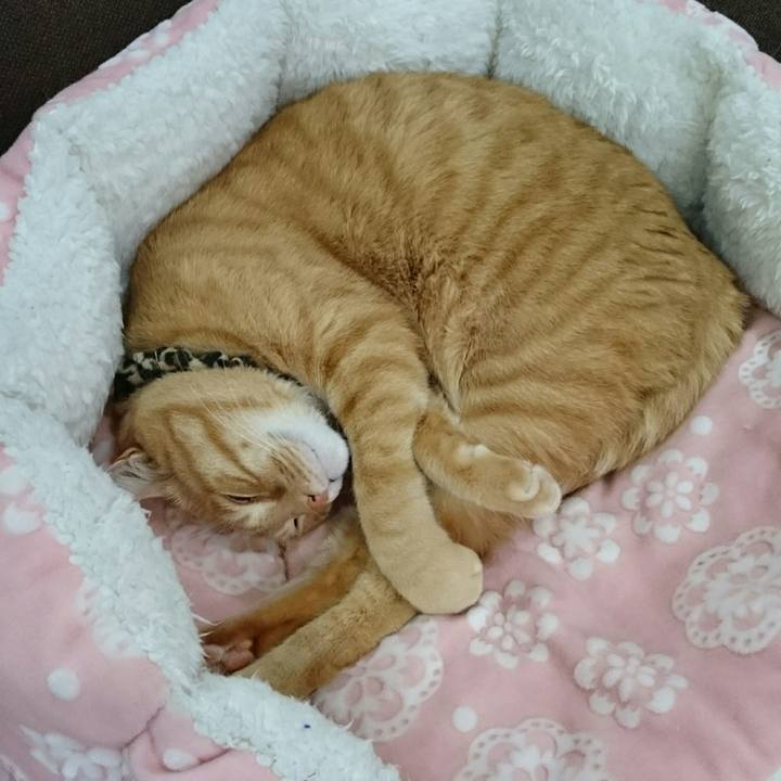 9b35a0cb 3dd6 42bf 855e 4de748a48ac8 1554711143146