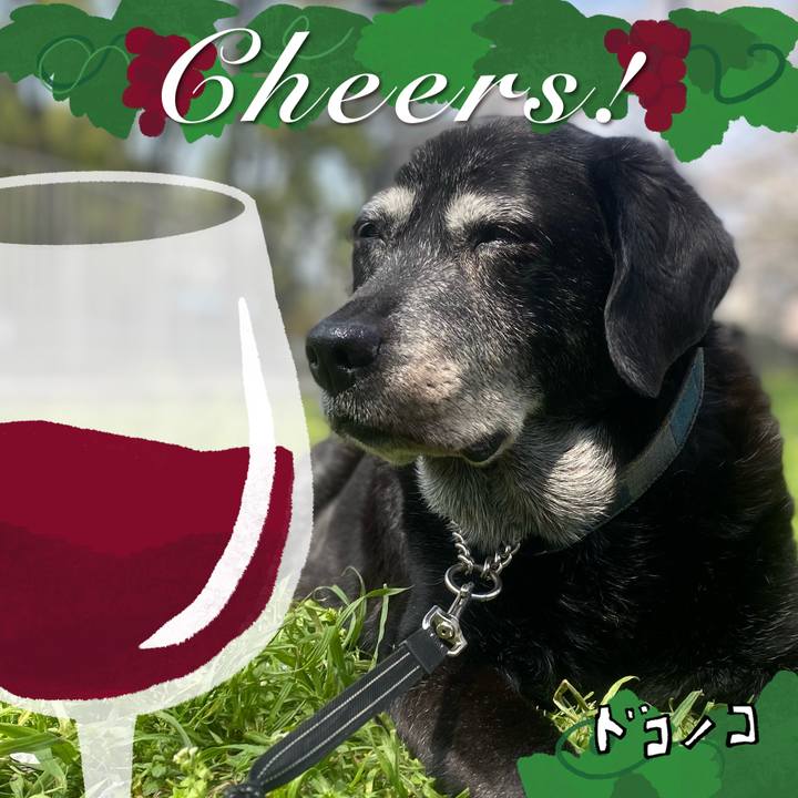 9b36025c 6ffb 47c2 a7f7 df53f6d9b0ae 1761147992596