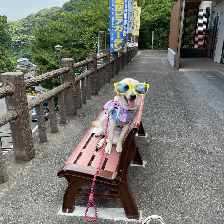 9b36043c 6c75 4f60 94cf fb857fc4bbe9 1627541317693