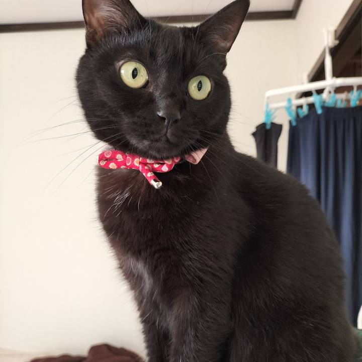 9b360789 aa90 43bb a598 13ab72d489b6 1635288112781