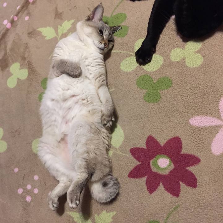 9b36417e eb65 4cff 9070 c2ce5e286fbe 1545572368106