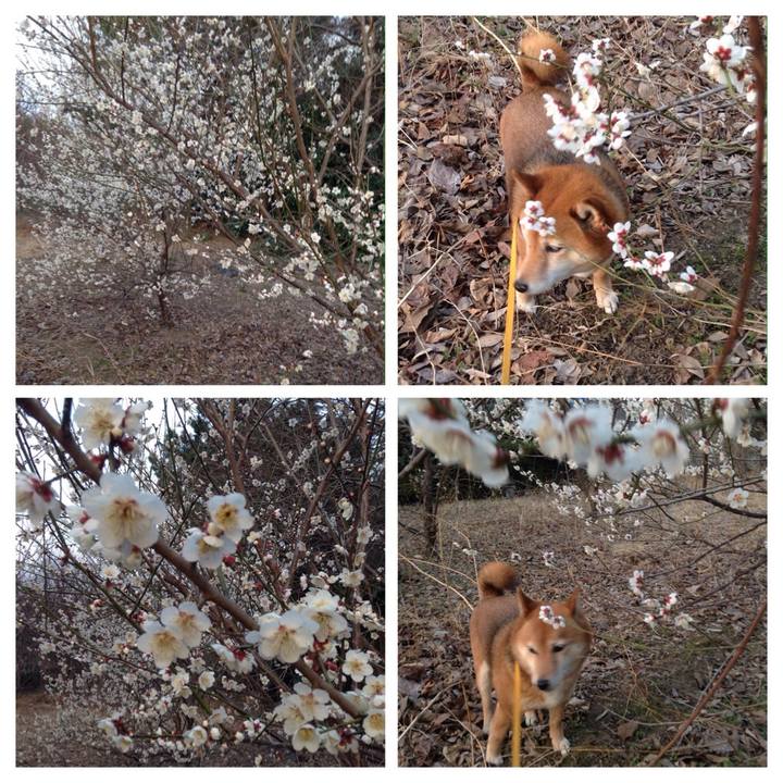 9b36807c 801b 434b 9f0c 1470989a5bc0 1519736051456