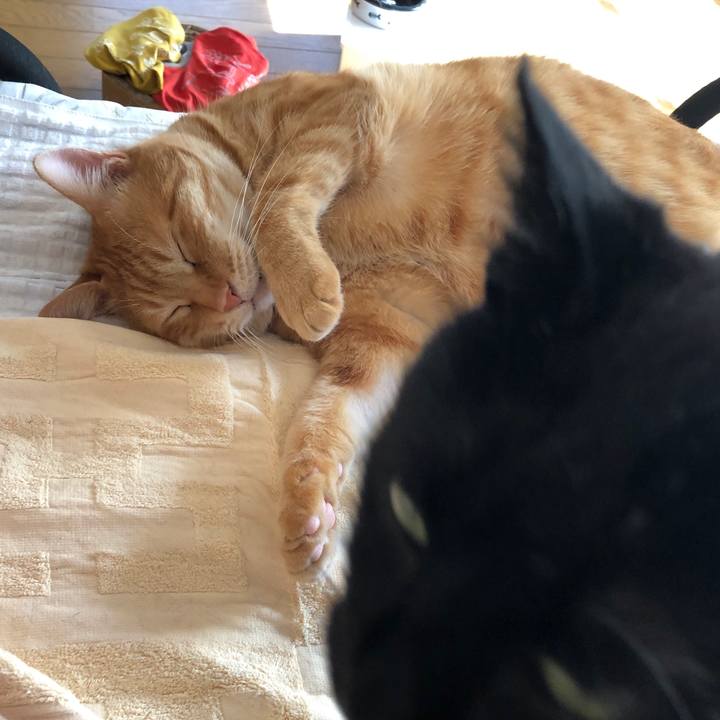 9b369f23 7436 4938 ae62 f6acbfb882a5 1592001878188