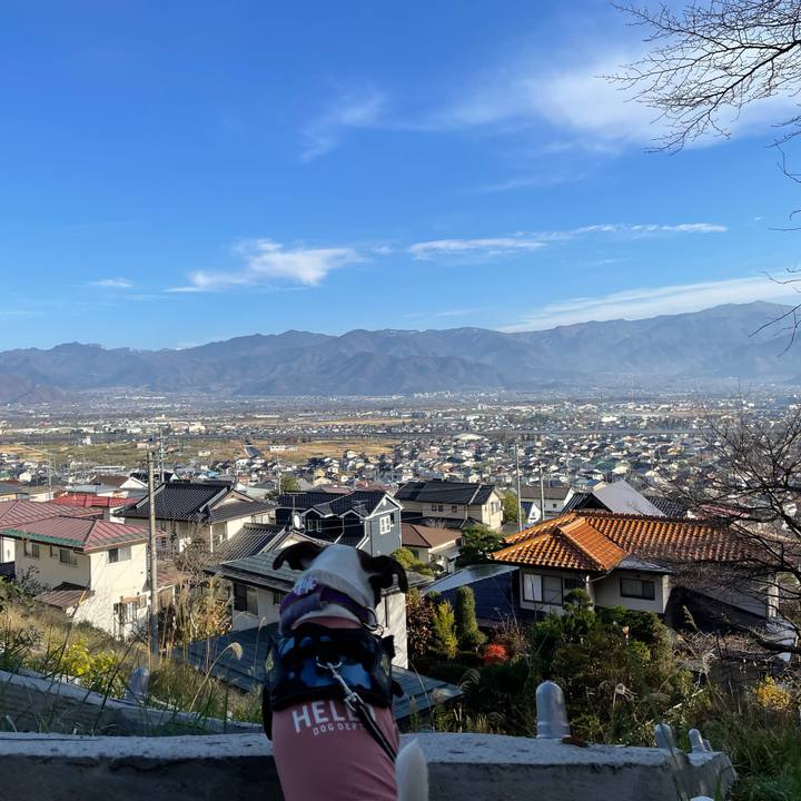 9b37025a 7baf 4a69 8488 3caf84679d5f 1733212626064