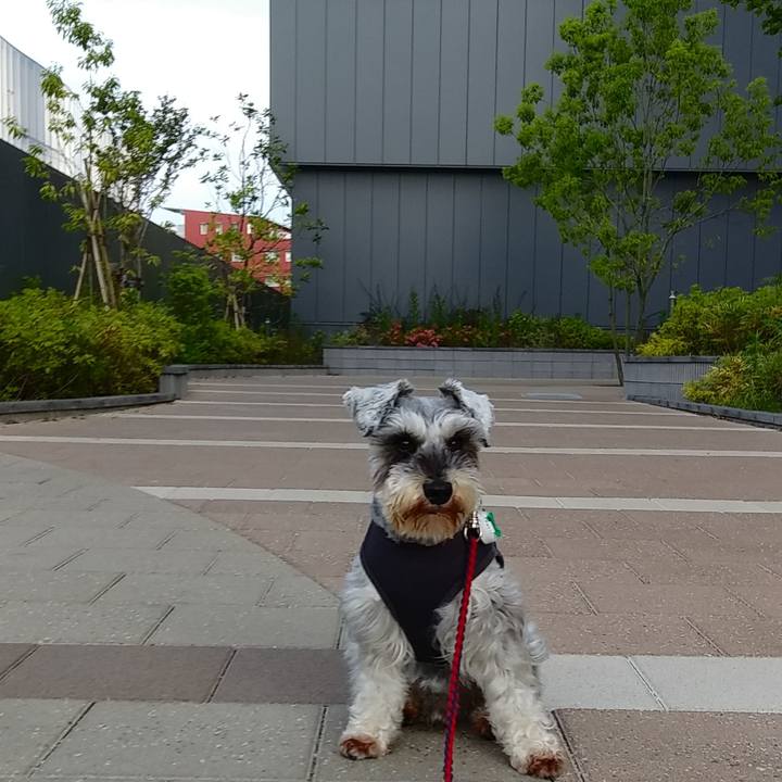 9b37099c f2a1 469c a753 918ed54af3f0 1559256252082