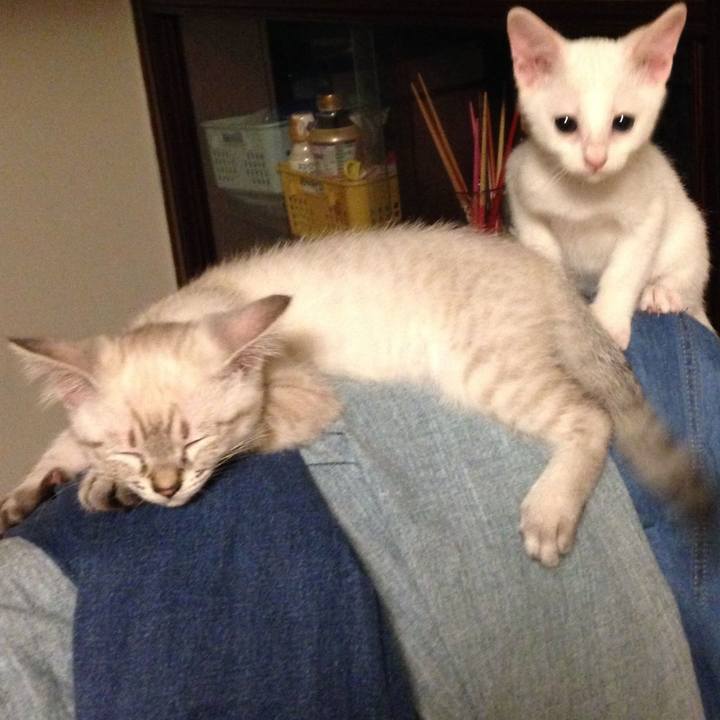 9b375cfb 6c2e 477f 81fc 48e543a33827 1573323371441