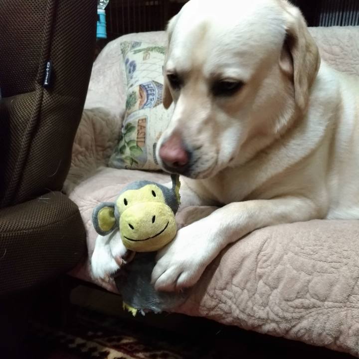 9b3764bf 6d55 4a3e b0fb de76f9e3ba42 1554377947501