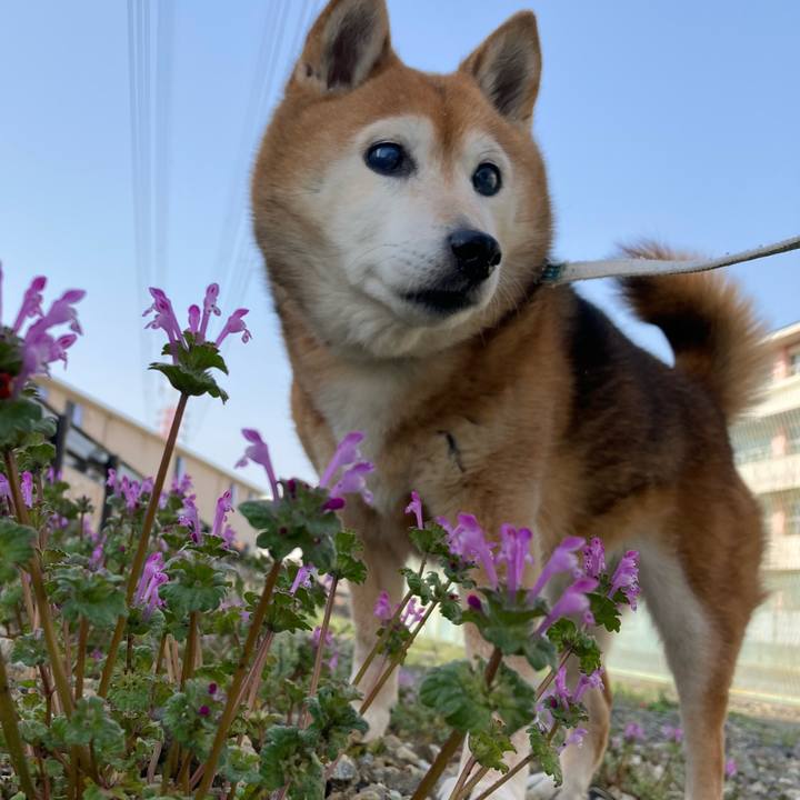 9b377fcb 7078 4436 be8c 40aa037eed7b 1742863211280