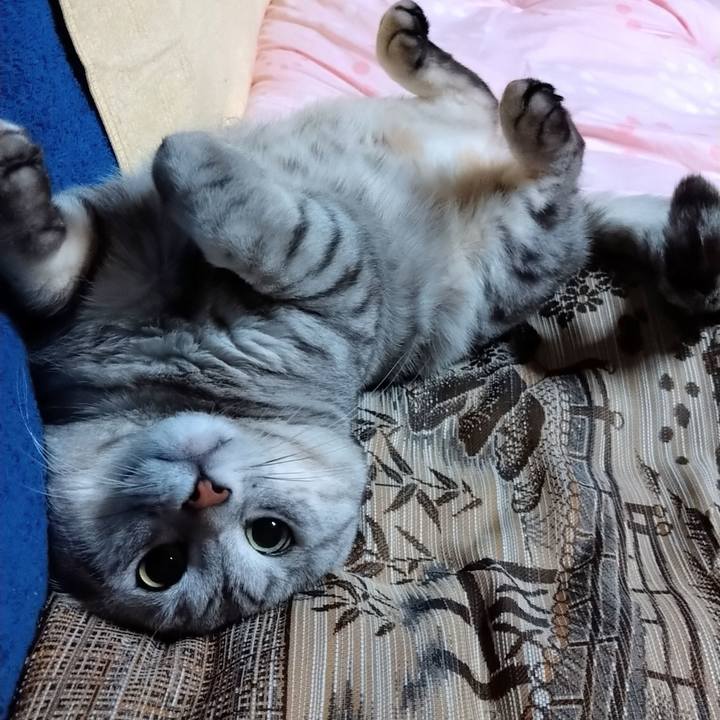 9b379b1c cd4d 4894 9d9f 68f123a2dd08 1619783091797