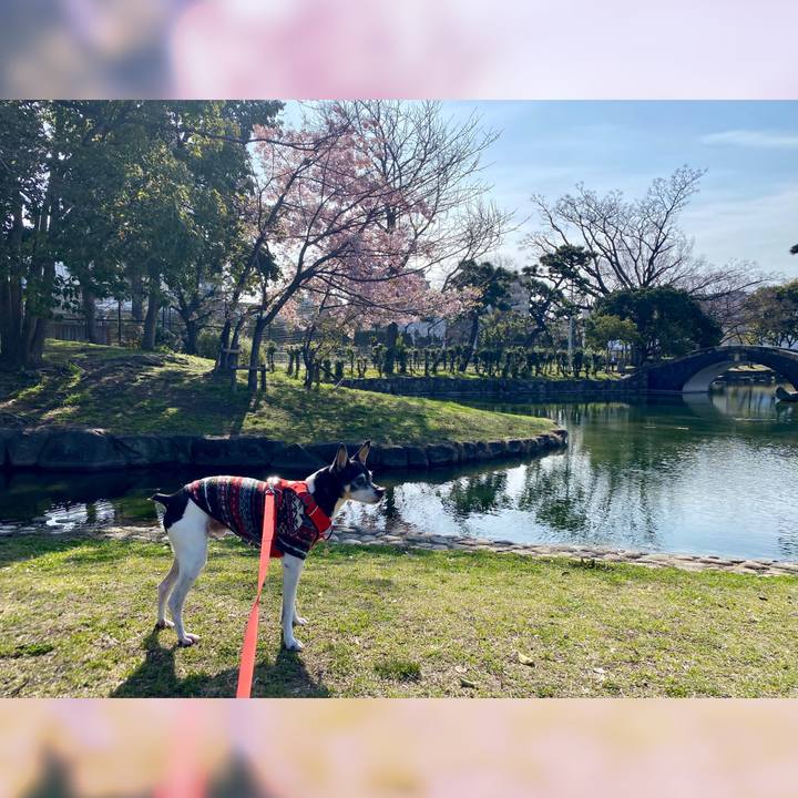 9b37d818 d770 4174 a6db 5ec2a7bb9678 1615092625230