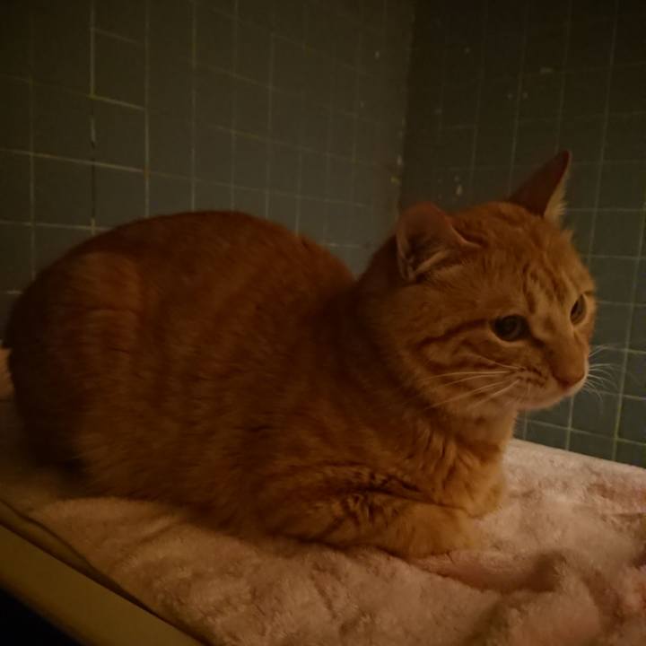 9b37dd5b 04df 4646 b517 f2345bc0614d 1646738657609