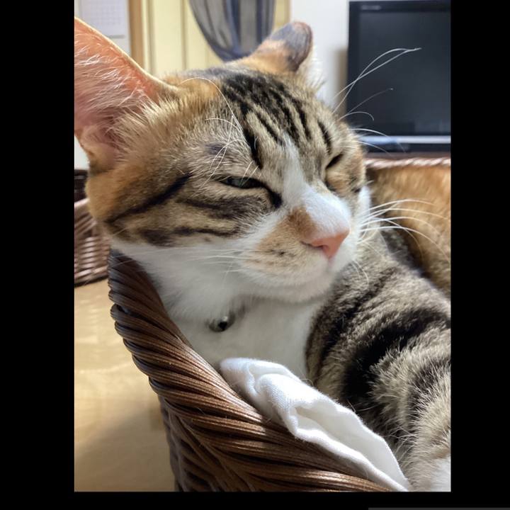 9b381201 d36a 40e5 a37e e4be19839930 1697023752839