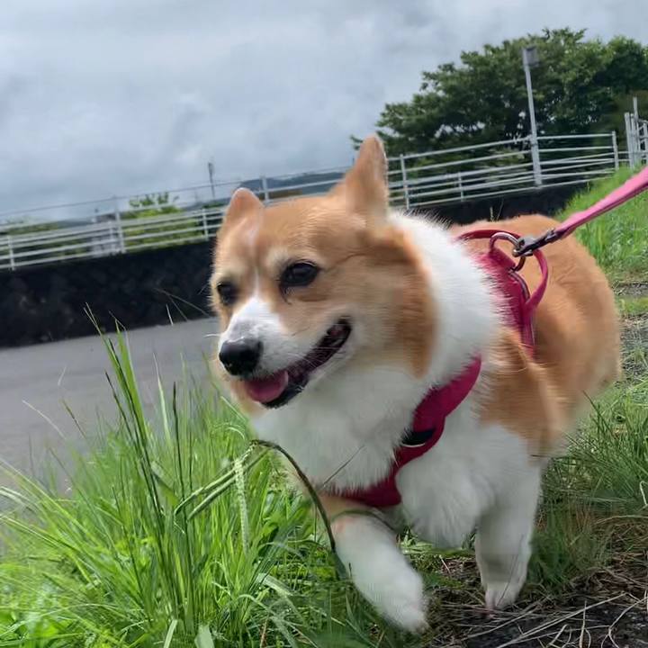 9b381b44 7b4a 4a27 b6fc eed5878073a1 1685758477806