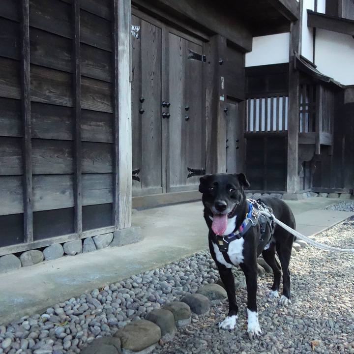 9b383d88 fdbd 4373 b08e 45701afad85e 1656546798104