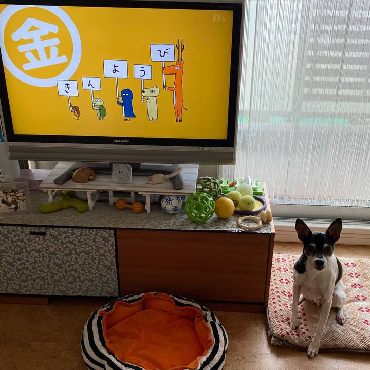 9b38573b 3ffa 443c b1cf 8bd8daee15c6 1583497169586