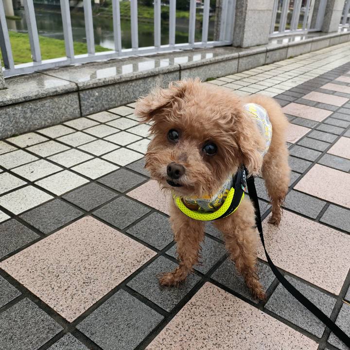 9b3897fe edb9 4d97 b288 2f2a36a4b41c 1630739562150