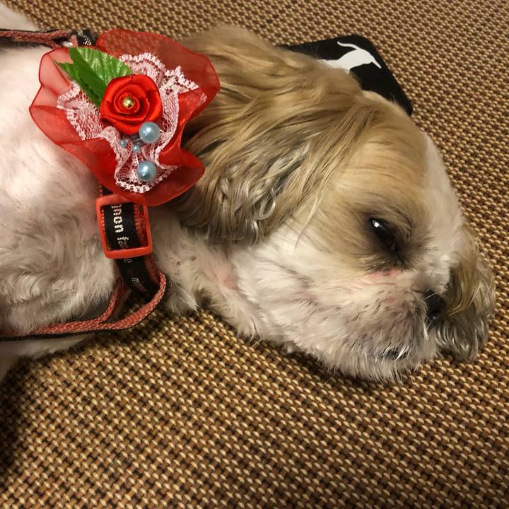 9b38a537 679b 4213 8f37 3ea261823096 1630273279703