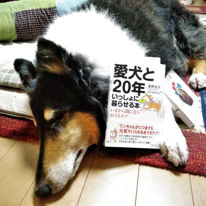 9b38b503 d759 4dbb b466 4407121e9336 1546787608676