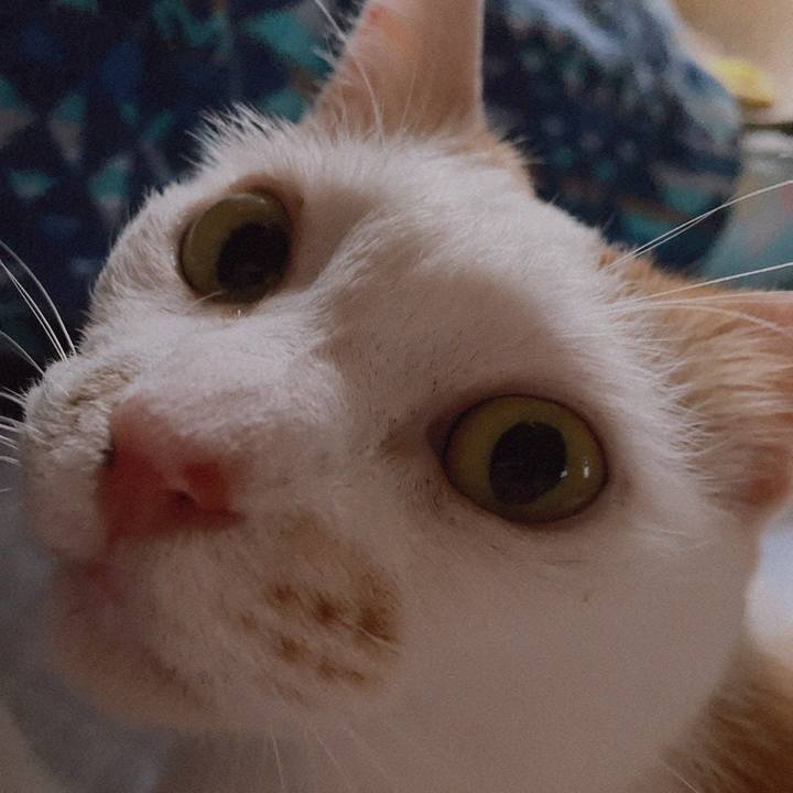 9b38de65 4694 4966 bb65 20d981b8e8be 1625994119732