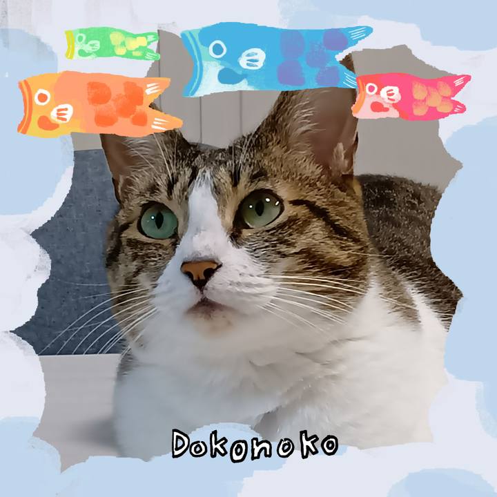 9b38f9a1 3336 4e99 841f 9e98873d484d 1749287636379