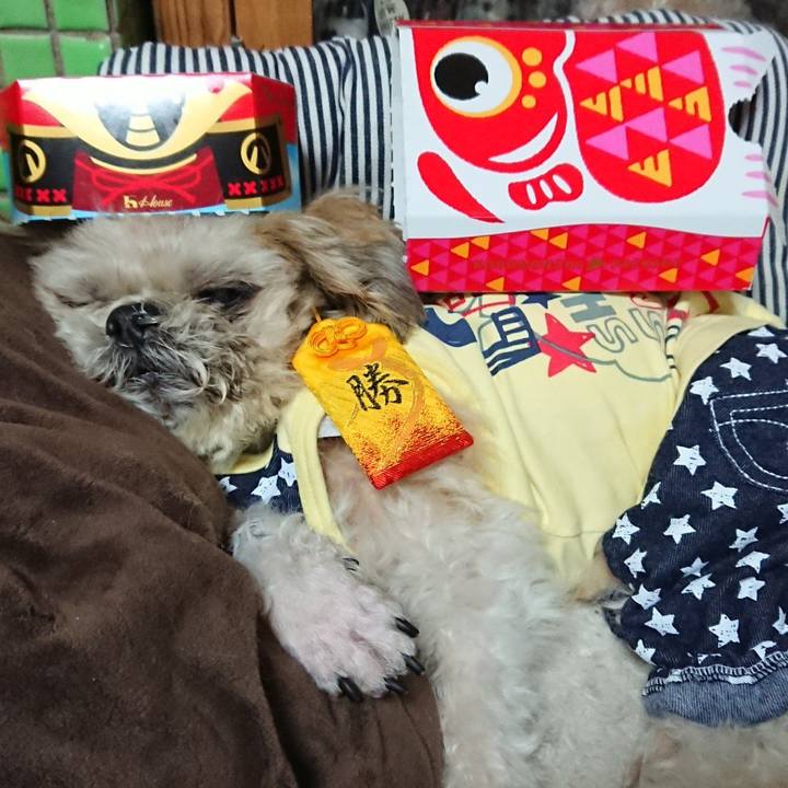 9b39230f a2a3 42cb 8afd 5bda5ef1575e 1555763969559