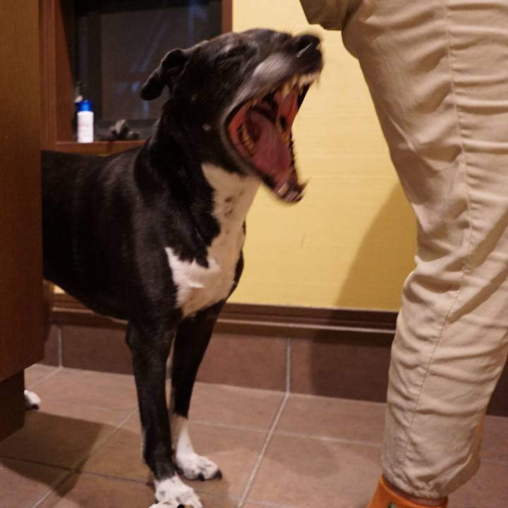 9b3988c5 57e0 4c42 896e ad7ed6862d88 1756983382240