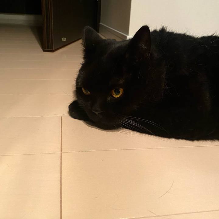 9b39fa86 79c0 4aba 9b6b 0b2aa2fac0b4 1753971047771