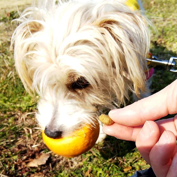 9b3a3d9c 47e5 43e1 9e4c 2f897a1b8d34 1551533634558