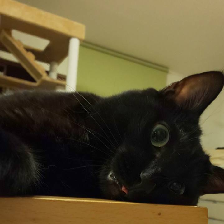 9b3a5a1a bdf7 4a32 a063 249562ebe09d 1664546844688