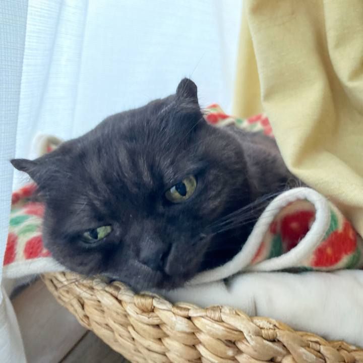 9b3a6e9e 1e02 47db 8b8d d645b710437e 1616907756775