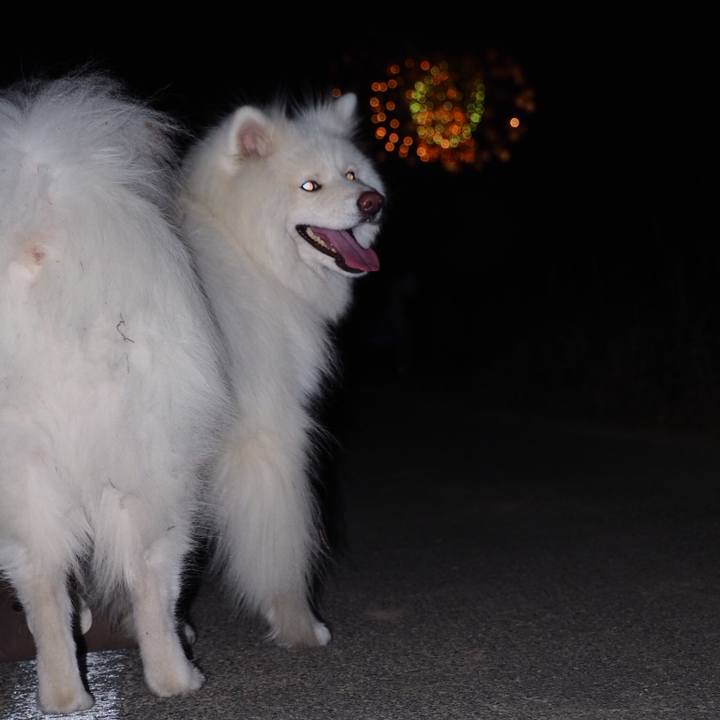 9b3a7522 1c0a 4da8 8326 de2677be30a6 1533386756666