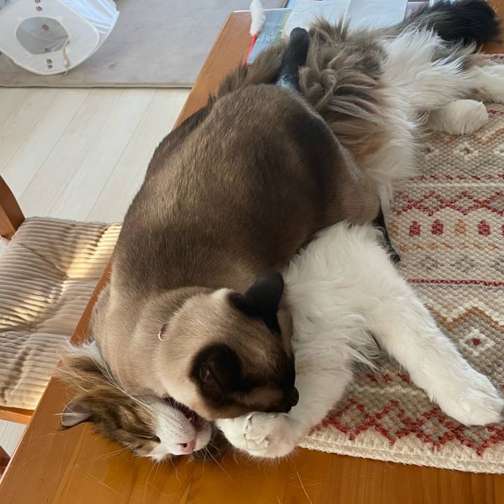 9b3aae7a d63a 417d 9fd8 89cec34cd0d0 1745879972358