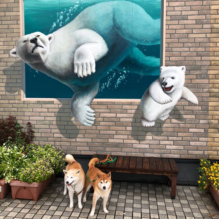 9b3abb2f 0779 4d35 8a22 2908a6232707 1537500801764