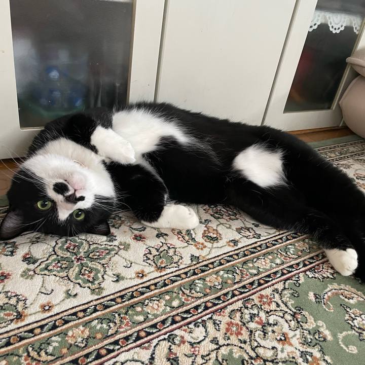 9b3ae44e 7020 4ac1 8ba8 404ea1200759 1689204197952