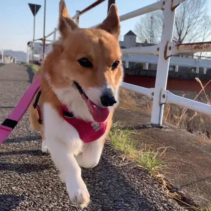 9b3b1182 ef6b 4daf 8f98 2a8e4c4871d2 1678869672915