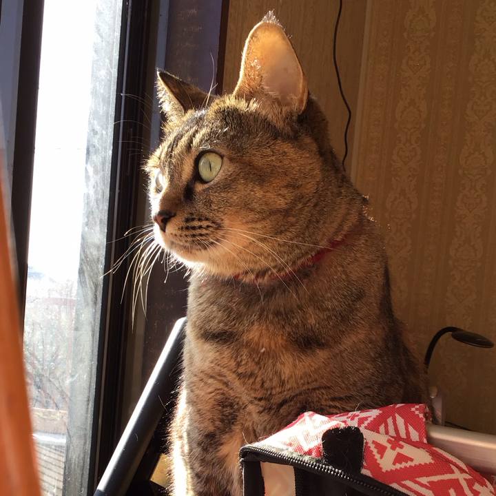 9b3b73dc 5902 4360 9edf 8a6619f36410 1703488339314