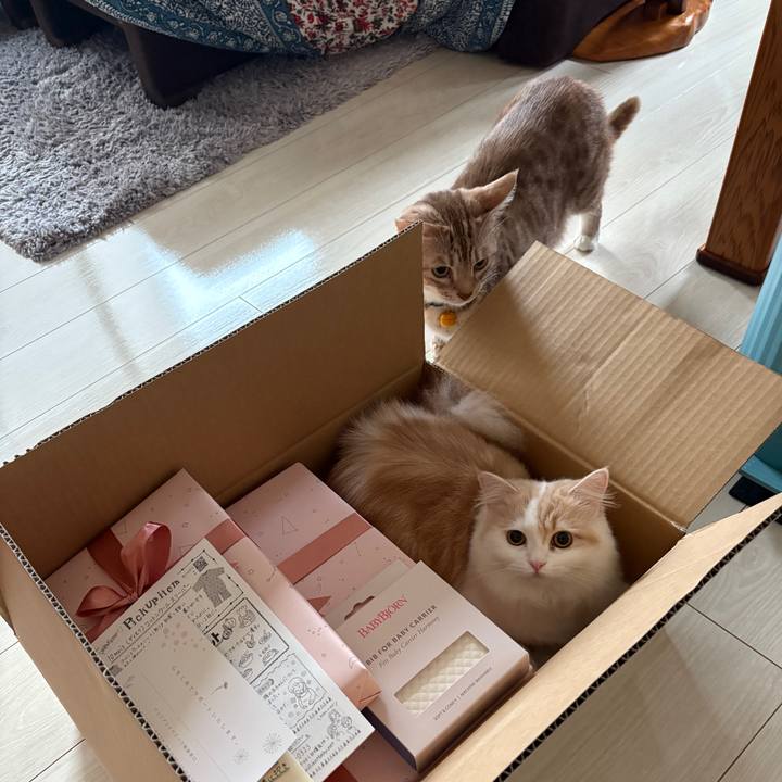 9b3b7e9e 260c 4cd2 8369 9d491c18a1ef 1761475362410