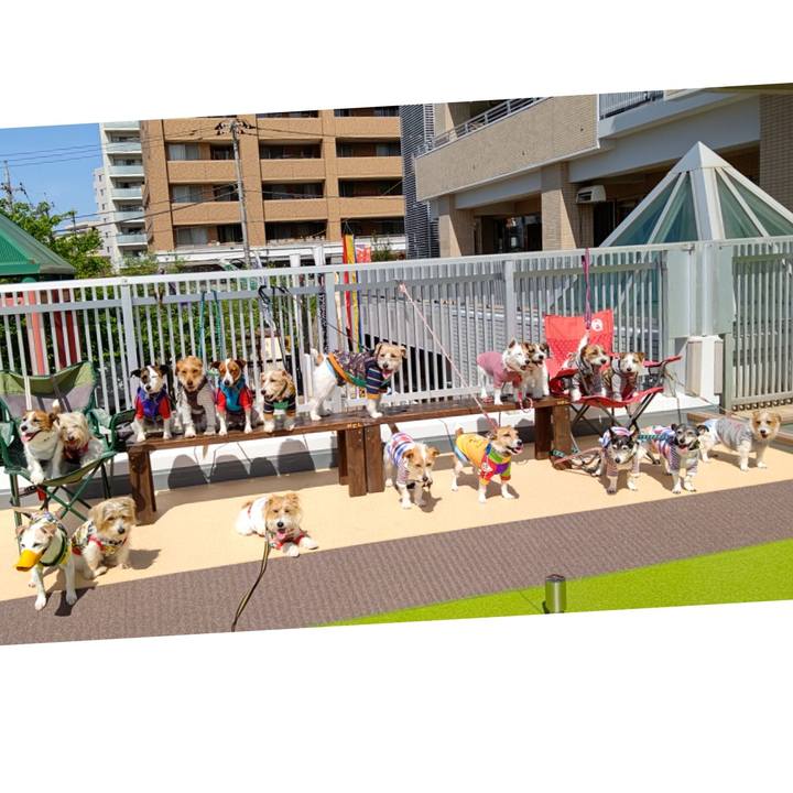 9b3bc8d6 9bd2 4218 bdb2 9f63c7f98377 1618474423250