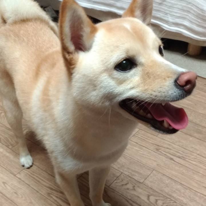 9b3be200 090d 4409 b5ee 834ff56dc197 1529925742328