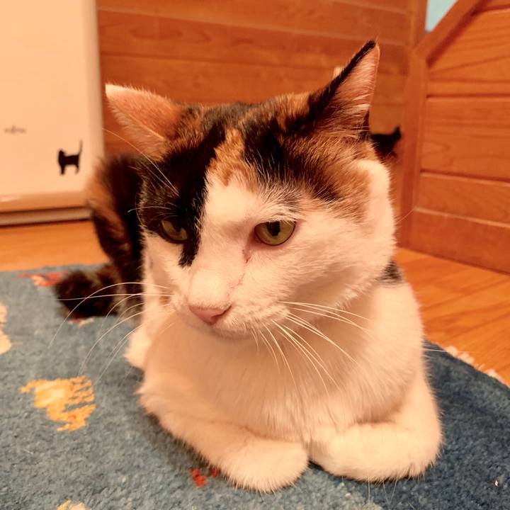 9b3bfa44 6929 4717 82c8 e8d7ff83c91c 1569495915044