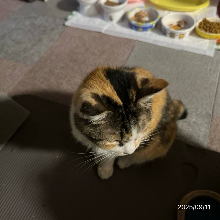 9b3c334a 3f29 46bc a0be cd5fc36a0bd9 1757541514963