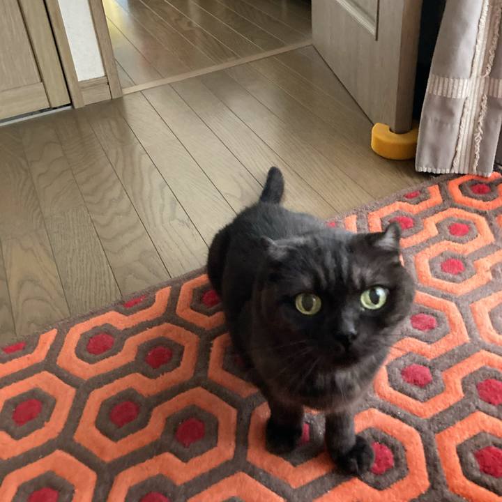 9b3cb533 4a36 4766 9053 4176550746ae 1598142128450